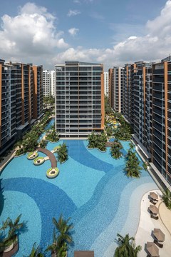 Coco Palms