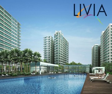 Livia