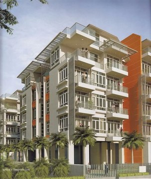 Palm Vista