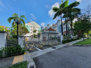 Sandy Palm