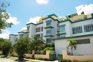 Sunny Palms