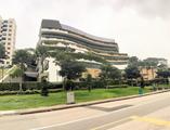 The Hillshore