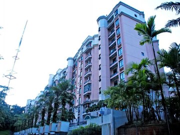 The Hillside