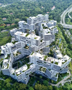 The Interlace