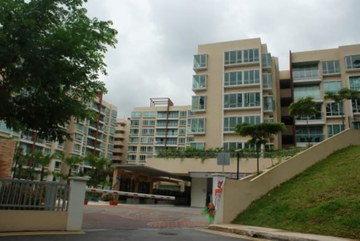 The Raintree
