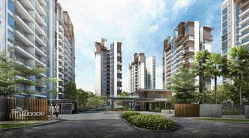 The Skywoods