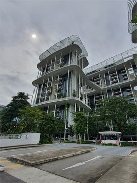 The Tembusu