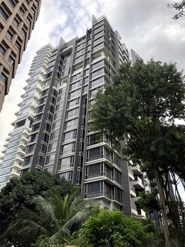 Angullia Park Residences @ORCHARD property photo 2 in Singapore