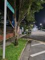 Goodrich Park property photo 5 in Singapore