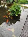 Goodrich Park property photo 6 in Singapore