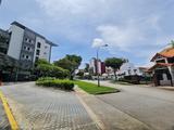 Goodrich Park property photo 7 in Singapore