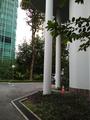 Cairnhill Heights property photo 1 in Singapore