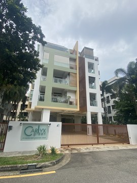 Carlyx Green property photo 1 in Singapore