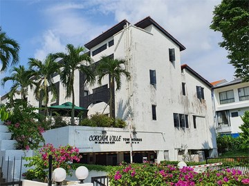 Corona Ville property photo 1 in Singapore