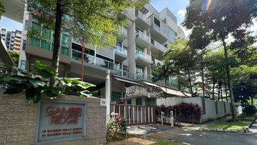 Gambir Ridge property photo 3 in Singapore
