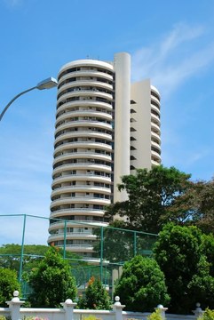 Hawaii Tower property photo 1 in Singapore