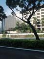 Cavenagh Mansions property photo 10 in Singapore