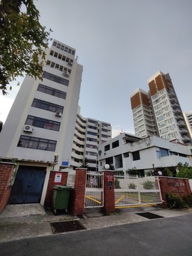 Keng Lee View property photo 1 in Singapore