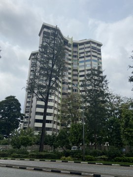 Lakeside Tower property photo 3 in Singapore