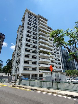 Lion Towers property photo 1 in Singapore
