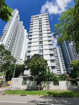 Mandalay Towers property photo 1 in Singapore