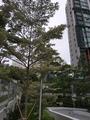 Ariva On Shan Serviced Residence property photo 9 in Singapore