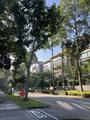 Nassim Park property photo 1 in Singapore