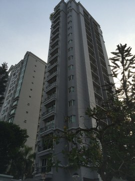 Palazzetto property photo 1 in Singapore