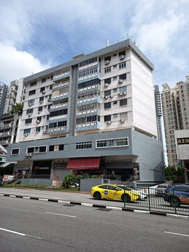 Public Mansion property photo 1 in Singapore