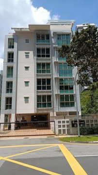 Ridge Court property photo 1 in Singapore