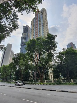 Scotts 28 property photo 3 in Singapore