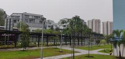 St Patrick'S Garden property photo 7 in Singapore