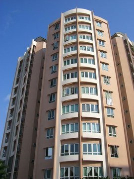 The Heliconia property photo 2 in Singapore