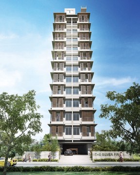 The Silver Fir property photo 1 in Singapore