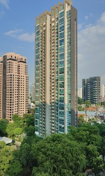 Tomlinson Heights property photo 1 in Singapore