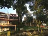 Watten Estate Condominium property photo 5 in Singapore