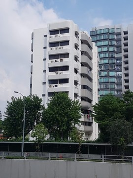 Woodsville Mansions property photo 1 in Singapore